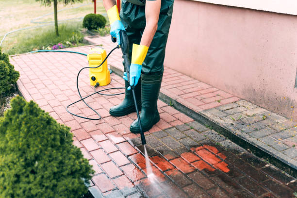 Best Animal Enclosure Cleaning  in Sallisaw, OK